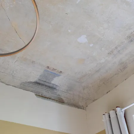 Lägenhet Eggprint *