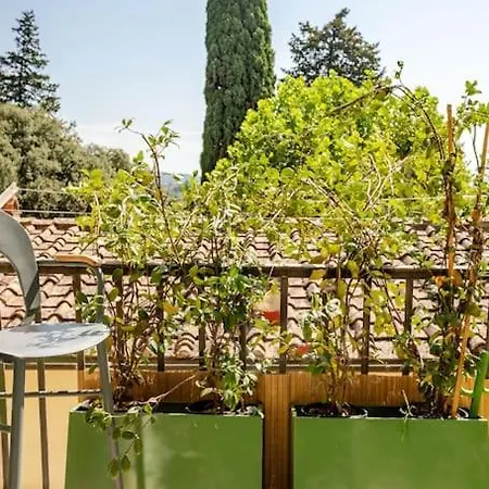 Lägenhet Eggprint *